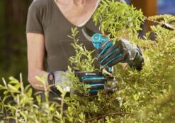 Gardena Handschoenen Struikonder. Maat M -Gardena tuingereedschapwinkel 970471401 4 GARDENA20HANDSCHOENEN20STRUIKONDER.20MAAT20M