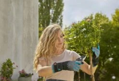 Gardena Handschoenen Rozenonder. Maat M -Gardena tuingereedschapwinkel 970471601 3 GARDENA20HANDSCHOENEN20ROZENONDER.20MAAT20M