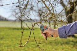 Gardena Expertcut Snoeischaar -Gardena tuingereedschapwinkel 970475401 3 GARDENA20EXPERTCUT20SNOEISCHAAR