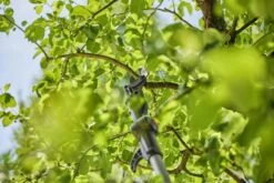 Gardena Accu-telescooptakkenschaar Solo -Gardena tuingereedschapwinkel 970632601 3 Gardena20Accu Telescoop20Takkenschaar20Solo